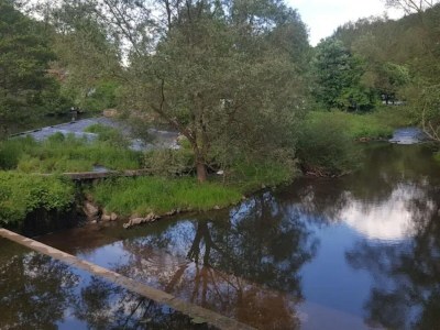 Apartment Ferienwohnung mit Garten auf dem Bauernhof - Environment photo 22
