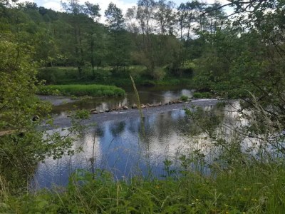Apartment Ferienwohnung mit Garten auf dem Bauernhof - Environment photo 23