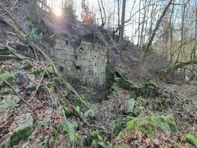 Apartment Ferienwohnung mit Garten auf dem Bauernhof - Environment photo 24