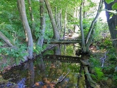 Apartment Ferienwohnung mit Garten auf dem Bauernhof - Environment photo 27