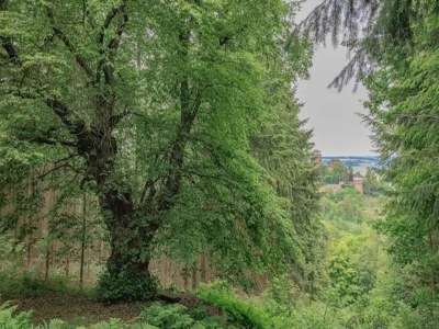 Apartment Ferienwohnung mit Garten auf dem Bauernhof - Environment photo 28