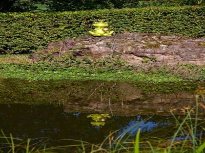 Apartment Landhaus in Reinhardswald bei Sababurg - Environment photo 20