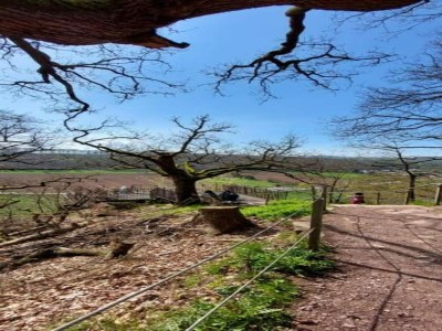 Apartment Landhaus in Reinhardswald bei Sababurg - Environment photo 22