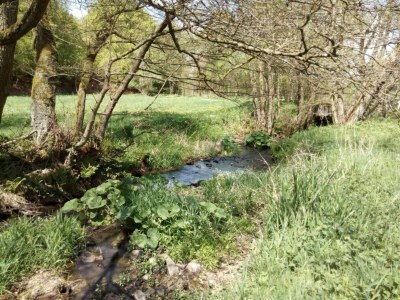 Apartment Landhaus in Reinhardswald bei Sababurg - Environment photo 25