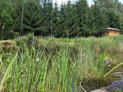 Apartment Landhaus in Reinhardswald bei Sababurg - Environment photo 26