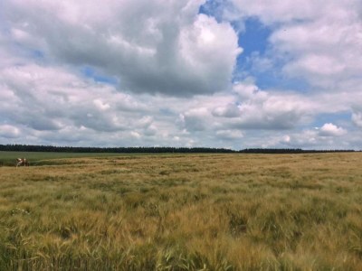 Apartment Landhaus in Reinhardswald bei Sababurg - Environment photo 31