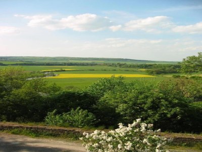 Apartment Landhaus in Reinhardswald bei Sababurg - Environment photo 34