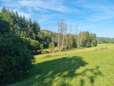 Apartment Wohnung im Sauerland mit Terrasse - Environment photo 28