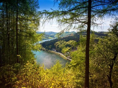 Apartment Wohnung im Sauerland mit Terrasse - Environment photo 33