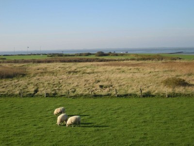 Holiday apartment Westwind - Environment photo 18