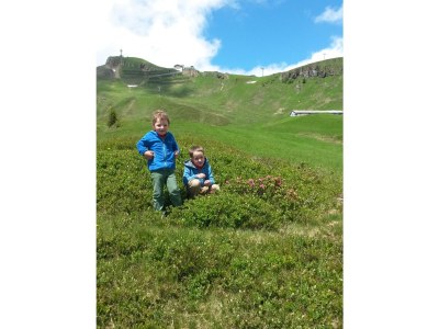 Holiday apartment Oberhauser Family House - Environment photo 12