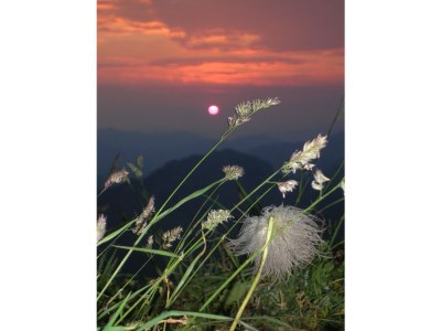 Holiday apartment Oberhauser Family House - Environment photo 15