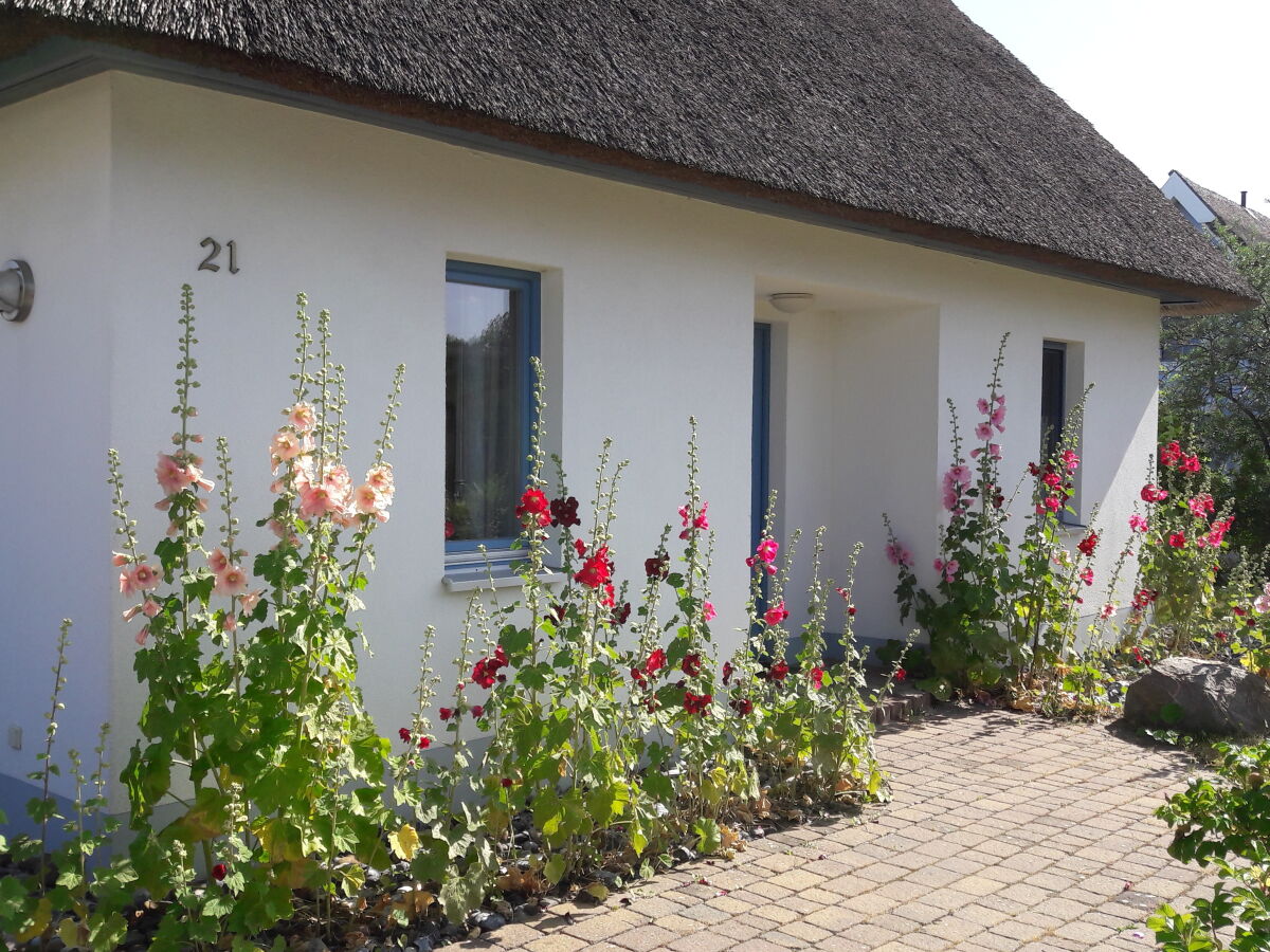 Holiday house Kliffhus Glowe - Outdoor photo 5