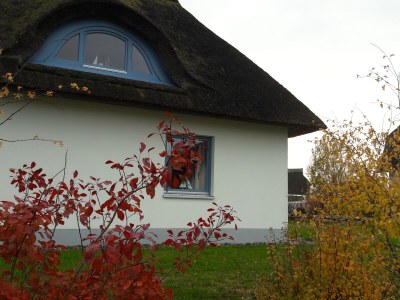 Holiday house Kliffhus Glowe - Outdoor photo 8