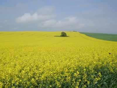 Holiday house Kliffhus Glowe - Environment photo 24