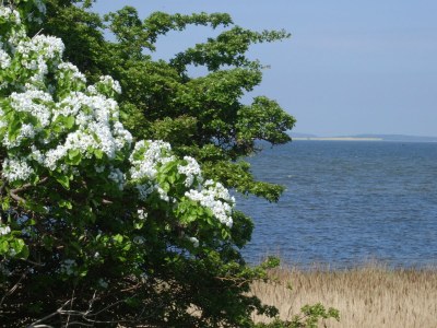 Holiday house Kliffhus Glowe - Environment photo 25