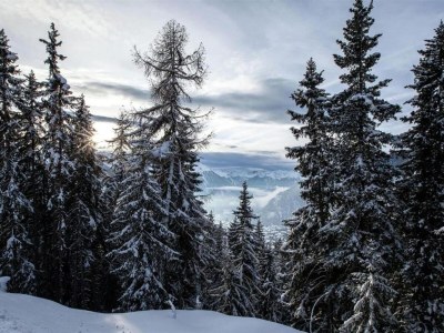 Chalet Chalet in La Tzoumaz near Ski Slopes - Environment photo 30