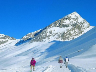 Chalet Chalet in La Tzoumaz near Ski Slopes - Environment photo 32