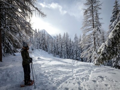 Chalet Chalet in La Tzoumaz near Ski Slopes - Environment photo 35