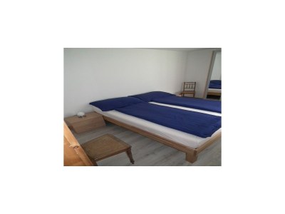 Apartment Chalet in Lenk nahe Simmenfälle - Features photo 21