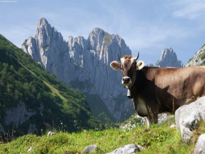Chalet Chalet in Valais near Ski Lift & Saas Valley - Environment photo 16