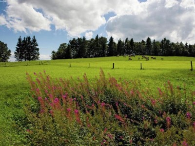 Chalet Chalet in Valais near Ski Lift & Saas Valley - Environment photo 25