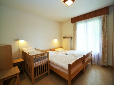 Chalet Helles Chalet mit Terrasse - Features photo 16