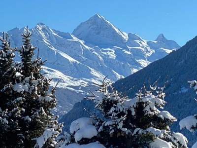 Chalet Helles Chalet mit Terrasse - Environment photo 31