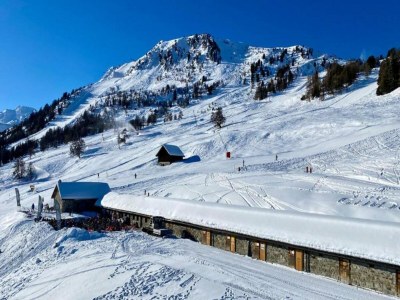 Chalet Helles Chalet mit Terrasse - Environment photo 32