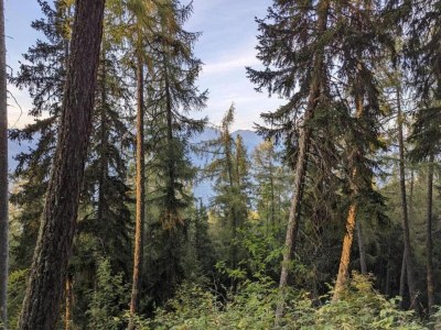 Chalet Helles Chalet mit Terrasse - Environment photo 34