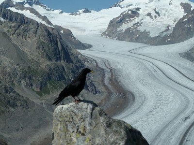 Chalet Chalet in Wiler near Ski Lift & Views - Environment photo 26