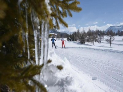Chalet Chalet in Wiler near Ski Lift & Views - Environment photo 29