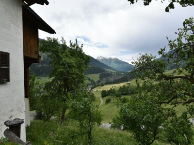 Holiday house Cozy Stay near Aletsch - Outdoor photo 4