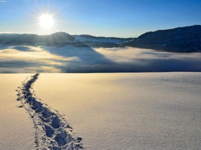 Holiday house Cozy Stay near Aletsch - Environment photo 27