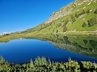 Holiday house Cozy Stay near Aletsch - Environment photo 31