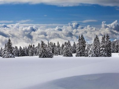 Holiday house Cozy Stay near Aletsch - Environment photo 33