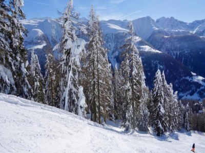 Apartment Family Stay in Aletsch Alps - Environment photo 21