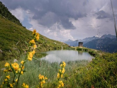 Apartment Family Stay in Aletsch Alps - Environment photo 30