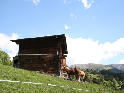 Apartment Family Stay in Aletsch Alps - Environment photo 35