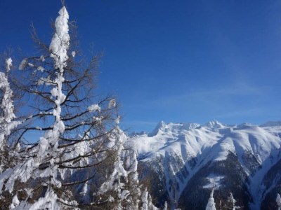 Apartment Family Stay in Aletsch Alps - Environment photo 40