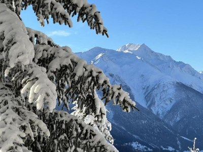 Apartment Family Stay in Aletsch Alps - Environment photo 43