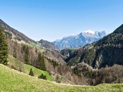 Apartment Apartment near Pizol - Environment photo 20