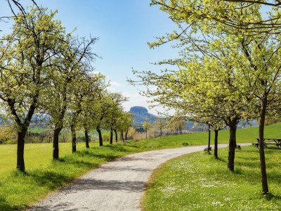 Holiday house Ferienhaus, Mittelndorf - Environment photo 30