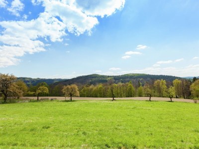 Holiday house Ferienhaus, Mittelndorf - Environment photo 31