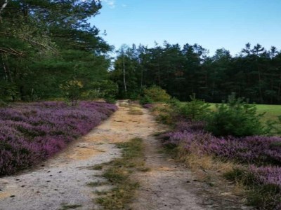Holiday house Ferienhaus, Mittelndorf - Environment photo 32