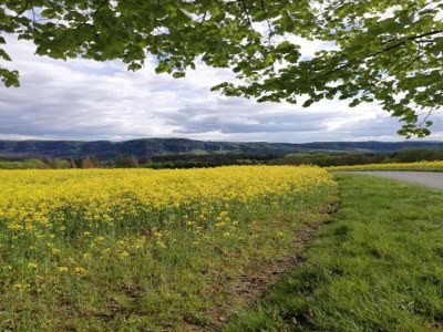 Holiday house Ferienhaus, Mittelndorf - Environment photo 34