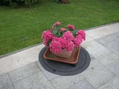 Apartment Wohnung in Lichtenhain beim Böhmischen Park - Outdoor photo 38