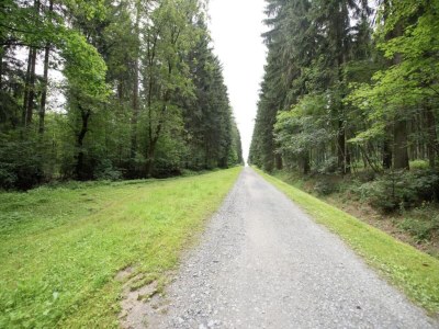 Holiday house Ferienhaus in Vogtland - Environment photo 16