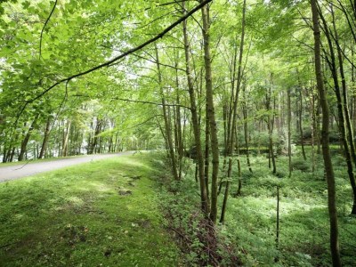 Holiday house Ferienhaus in Vogtland - Environment photo 17