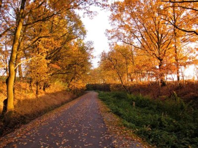 Holiday house Ferienhaus in Vogtland - Environment photo 18